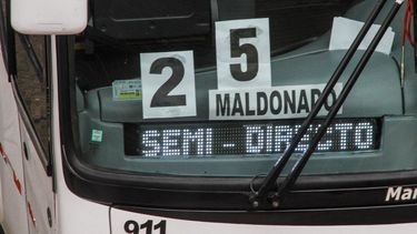 Los servicios de transporte carretero que circulen por la zona afectada por la alerta roja fueron suspendidos