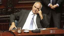 El senador Gustavo Penadés.