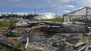 Temporal afectó Río Negro.