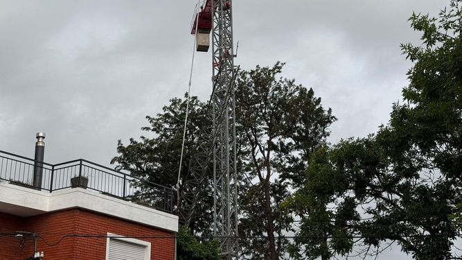 Una grúa de construcción colapsó en la zona del Jacinto Vera