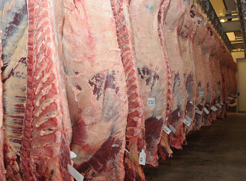 Días clave para la venta de carne a Europa: "La semana próxima se abren las compuertas", dijo Csukasi