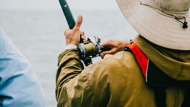 Rige veda para pesca comercial, deportiva y artesanal.