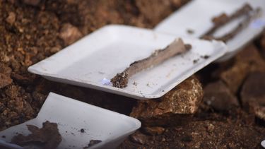 Restos humanos hallados en el Batallón 14 en junio de 2023.