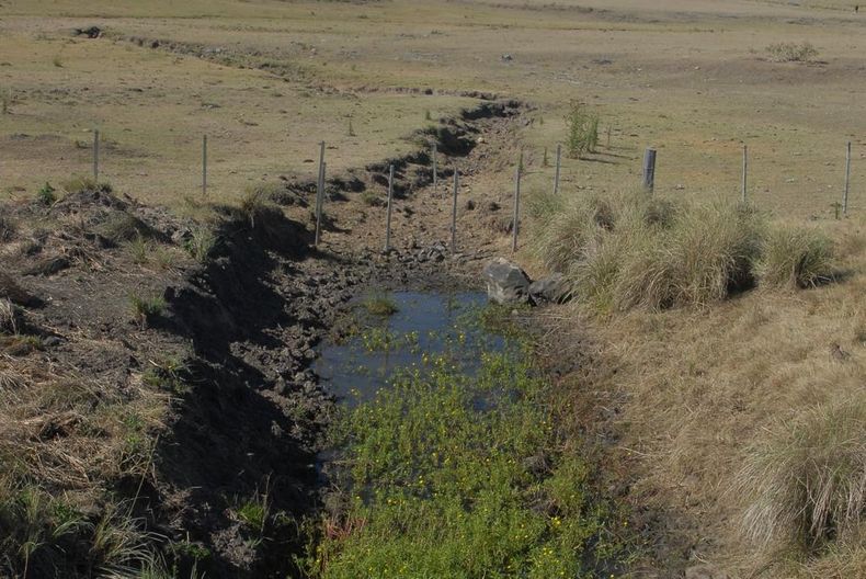 Intendentes de Colonia y Rocha piden extensión de la emergencia agropecuaria y denuncian situación crítica