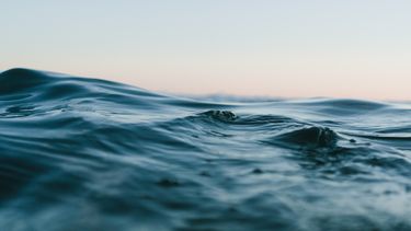 la onu alerta que el mundo enfrenta una emergencia en los oceanos