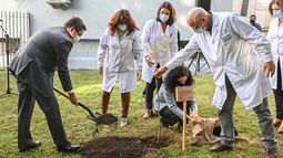 Plantaron un árbol de Ibirapitá en el Pereira Rossell