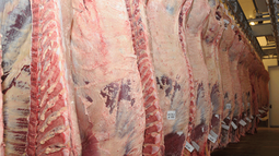 China impondrá un arancel del 55% a las exportaciones de carne de vacuna de varios países, entre ellos Uruguay