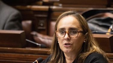 Diputada Virginia Fros.