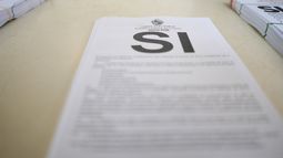 Todo lo que tenés que saber sobre el plebiscito de la seguridad social