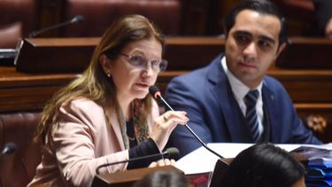 Interpelación a Karina Rando