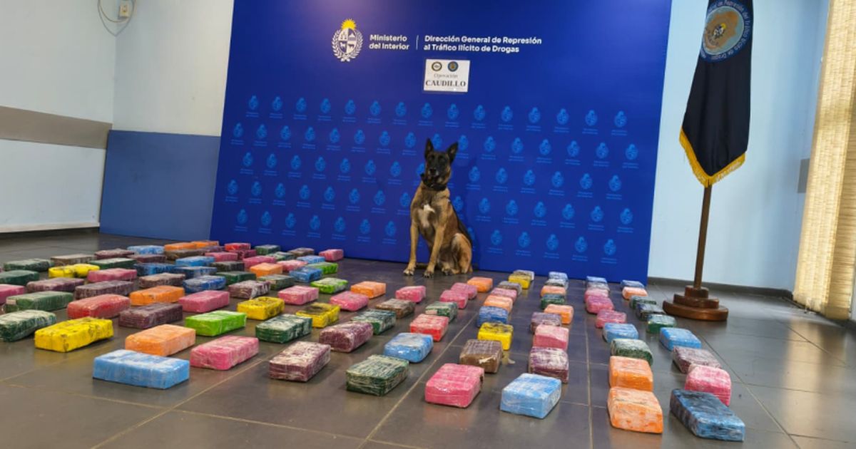 Incautaron 111 ladrillos de pasta base; venían ocultos en una camioneta matriculada en Paraguay