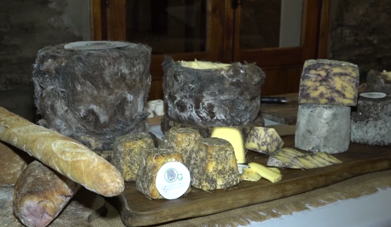 Observatorio Gastronómico en Paysandú.