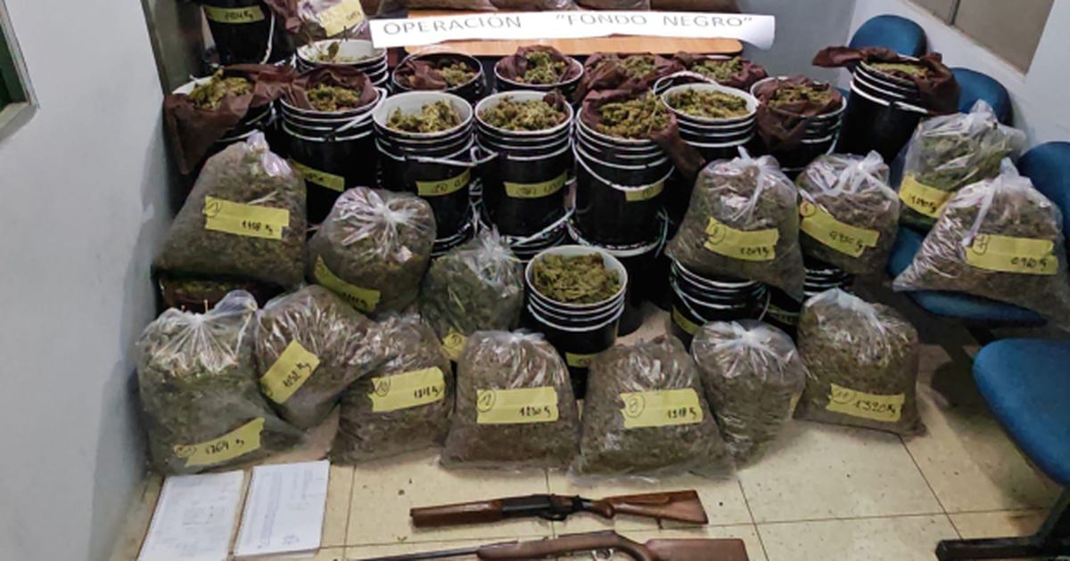 Incautan 75 kilos de marihuana en Cerro Largo; hay cuatro personas condenadas y dos a disposición de Fiscalía
