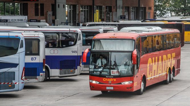 Perros que viajen en interdepartamentales deberán tener cédula canina