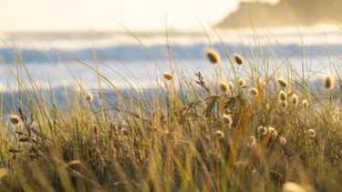 Martes según Inumet.
