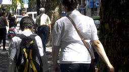 Se postergó la votación por ley de tenencia compartida