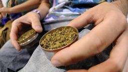 Dos condenados por vender marihuana ilegal en un club cannábico