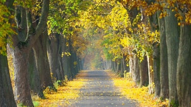 Martes según Inumet.&nbsp;