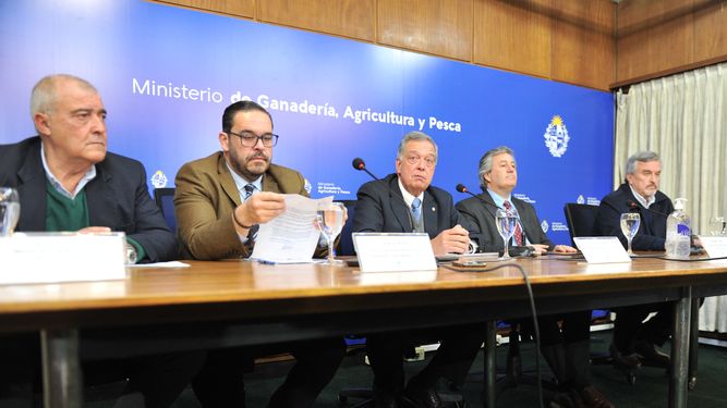 Gobierno habilitó importación de carne con hueso desde Brasil para el mercado interno