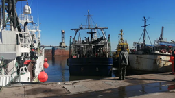 Cámara de Agentes Pesqueros aseguró que barco chino pescó en aguas internacionales