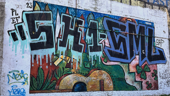 Vandalismo en mural del Paso Molino.&nbsp;