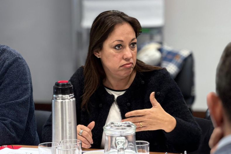 Fernanda Cardona: "El gobierno tiene el objetivo claro de llevar el desarrollo a cada región del país"