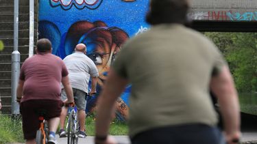 Día Mundial de la Obesidad