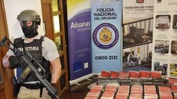 Cocaína en el Puerto de Montevideo: los 335 kilos tienen un valor millonario