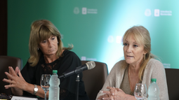 La intendente de Montevideo, Carolina Cosse, presentó la licitación para comprar luminaria.