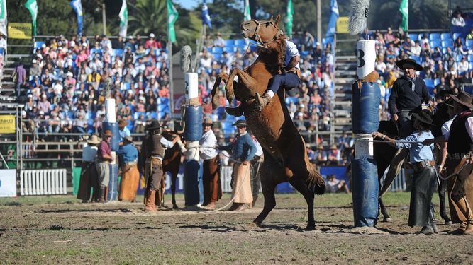 Las jineteadas de la Criolla del Prado en riesgo de no ser transmitidas por TV Ciudad