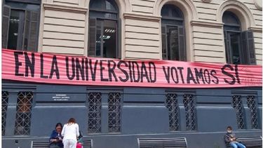 Da Silveira criticó pancarta del SÍ en fachada de la Udelar