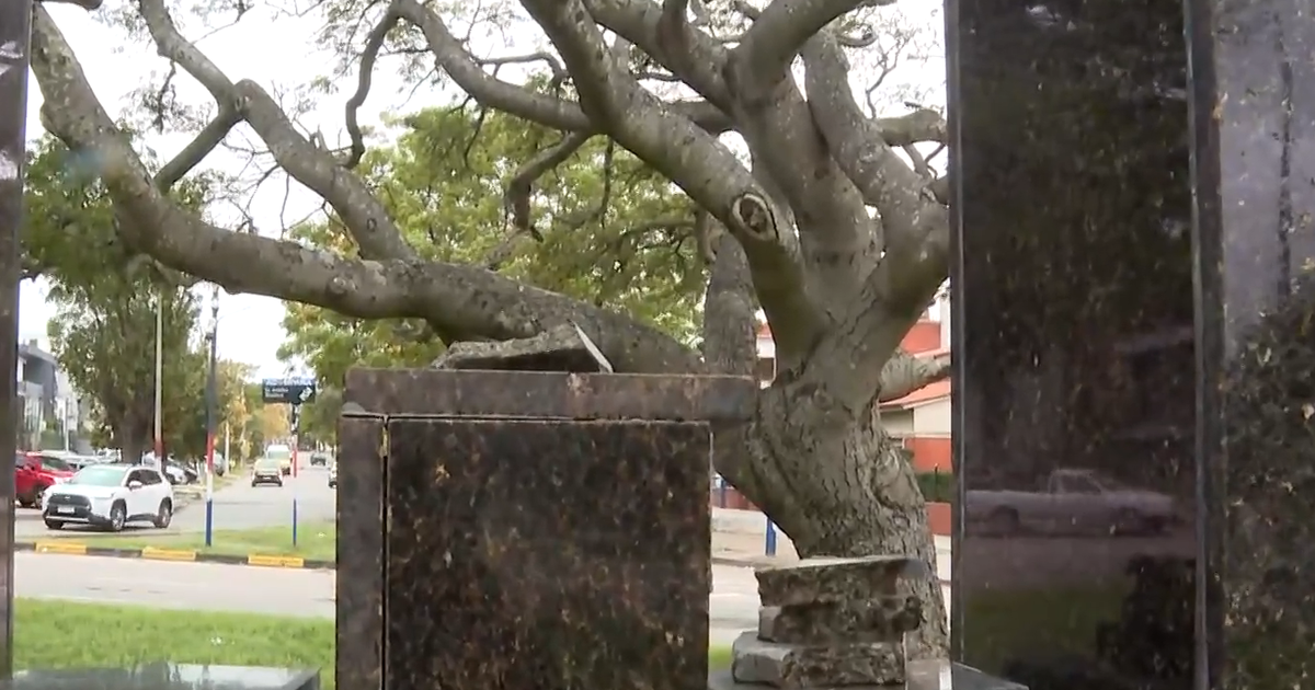 Vandalismo: robaron el busto de Pierre de Coubertin frente al Estadio Centenario