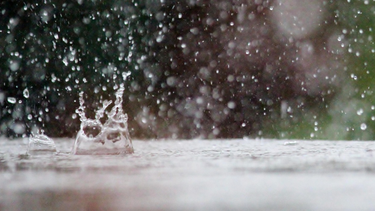 Jornada de lluvias intensas: esto pronostica Inumet para este viernes