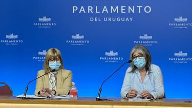 FA se opone a la voluntad anticipada de internación compulsiva