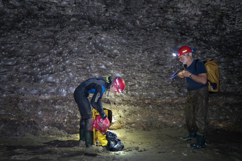 Descubren una telaraña gigante con más de 110.000 arañas en una gruta de Grecia