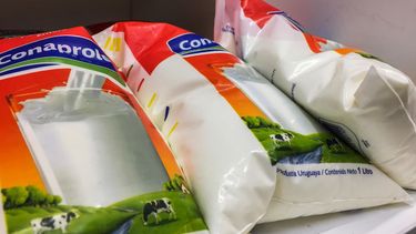Cámara de la Industria Láctea denunció que gremio rechazó nueva cláusula de paz