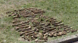 ¿Qué se sabe de los restos óseos hallados en la rambla de Buceo?