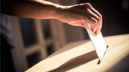 Detalles para las elecciones 2024.&nbsp;