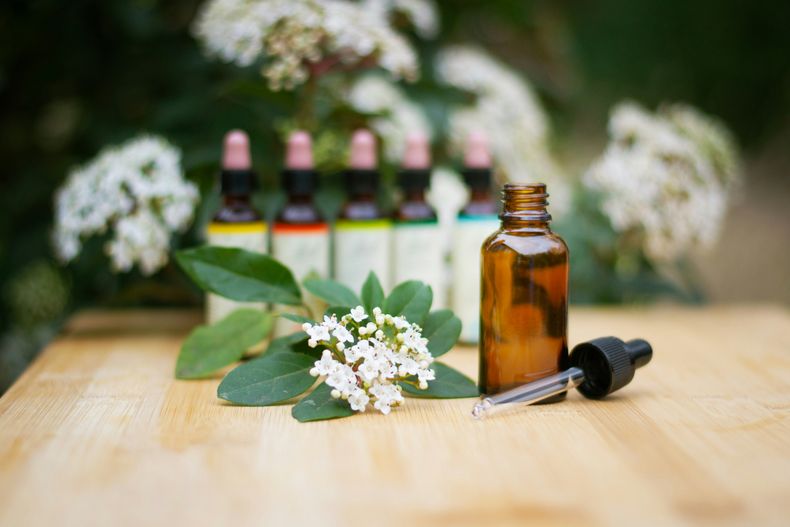 Homeopatía y fitoterapia: especialistas explican sus diferencias y el enfoque de cada práctica