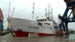 Barcos sin gasoil: 15 pesqueros no salieron al mar por falta de combustible