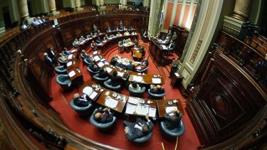 Asamblea General tratará hoy el veto de Lacalle Pou a la ley forestal