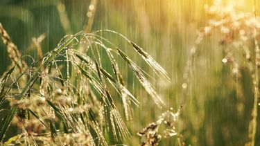 Martes según Inumet.&nbsp;