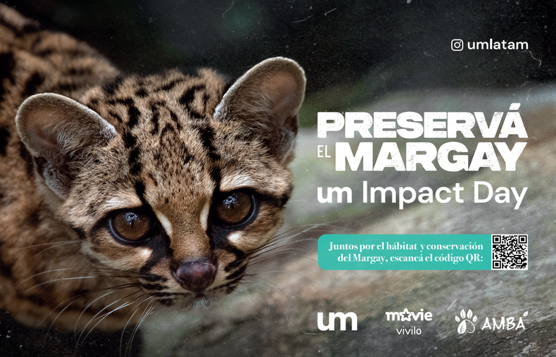 Preserva el margay.png