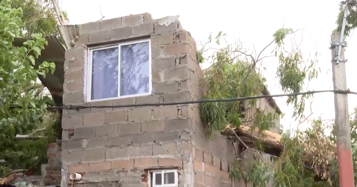 Nueve días después, vecinos de Flor de Maroñas reclaman retiro de un árbol caído sobre dos viviendas