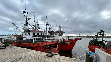 hablar de salarios de $10.000 diarios es mentir: sindicato critico llamado laboral para trabajar en la pesca
