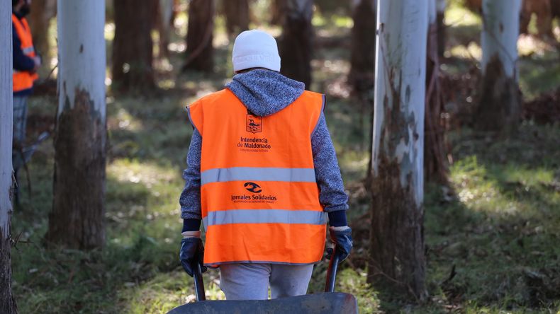 Hoy lunes abren inscripciones para "Uruguay Impulsa", programa laboral y de capacitación