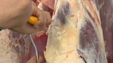 Llegó el primer embarque de carne bovina a Arabia Saudita