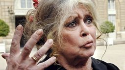 Hay preocupación por la salud de Brigitte Bardot: está internada desde hace días por una enfermedad grave Hay preocupación por la salud de Brigitte Bardot: está internada desde hace días por una enfermedad grave