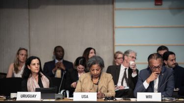 Azucena Arbeleche en Washington&nbsp;