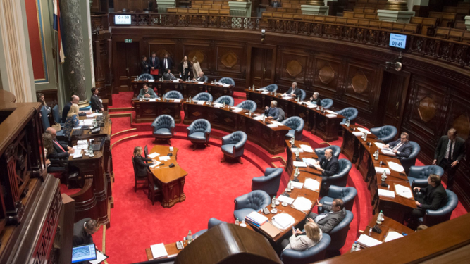 Senado aprobó tenencia compartida.
